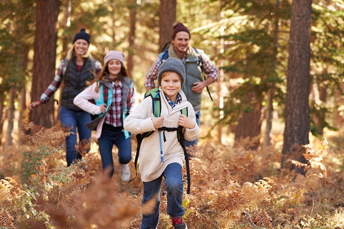 Family-Friendly Nature Walks Near Community Board 2